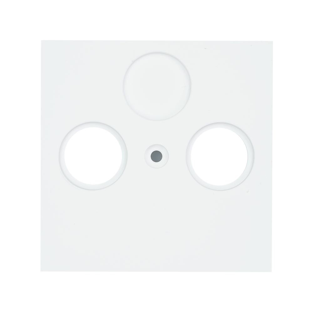 Miniatuur van EMhub Quadro55 (by Kopp) centraalplaat CAI radio/TV - zuiver wit mat (4088043)