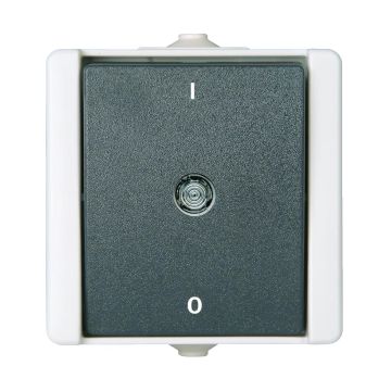 Aquadro schakelaar 2-polig 10A IP44 - grijs (4088110)