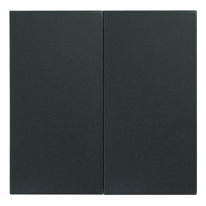 EMhub (by Kopp) dubbele bedieningswip tbv serie- en wissel/wisselschakelaar - Quadro 55 zwart mat (4088082)