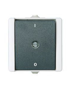 EMhub Aquadro schakelaar 2-polig 10A IP44 - grijs (4088110)